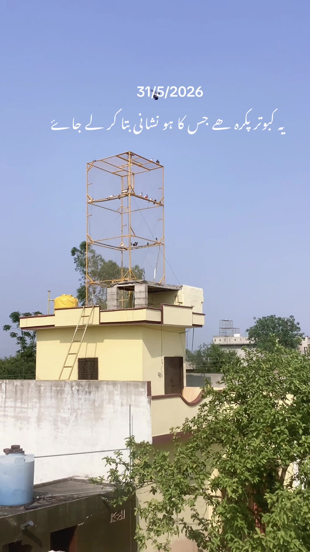 @hassnani68