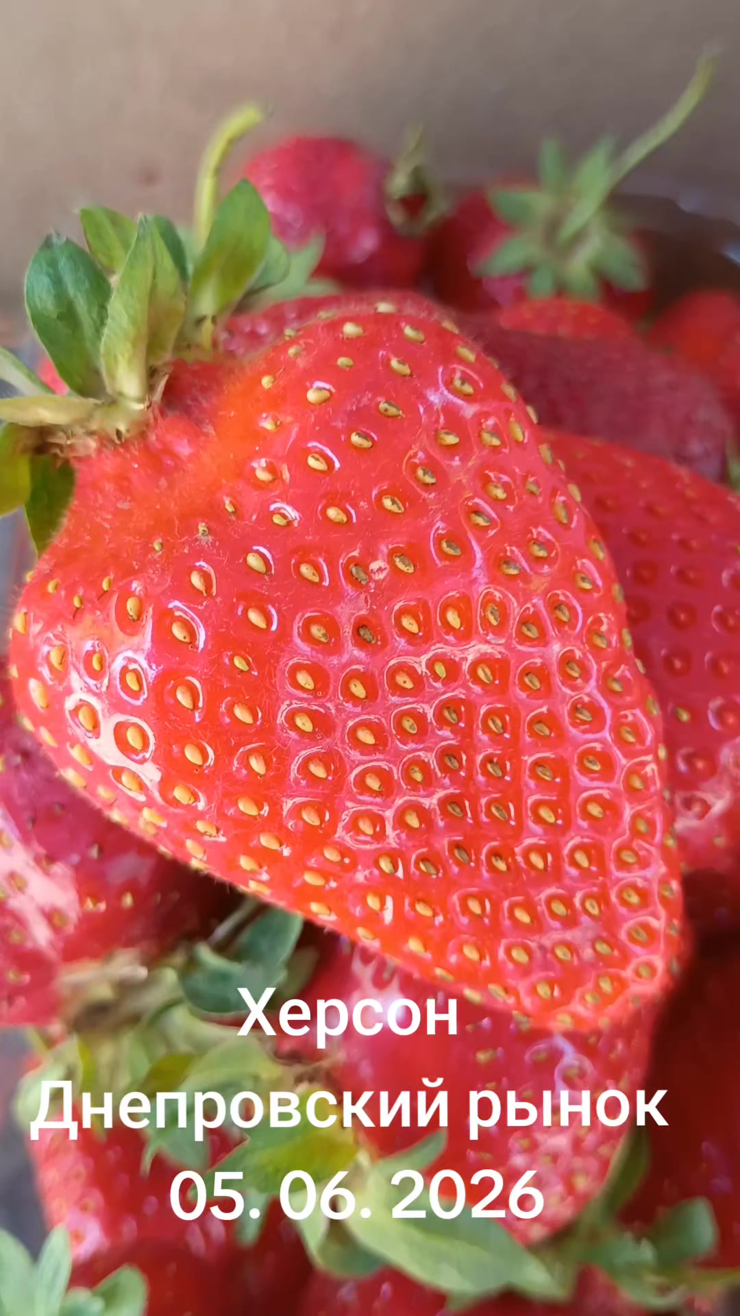 @IOSIF99999
