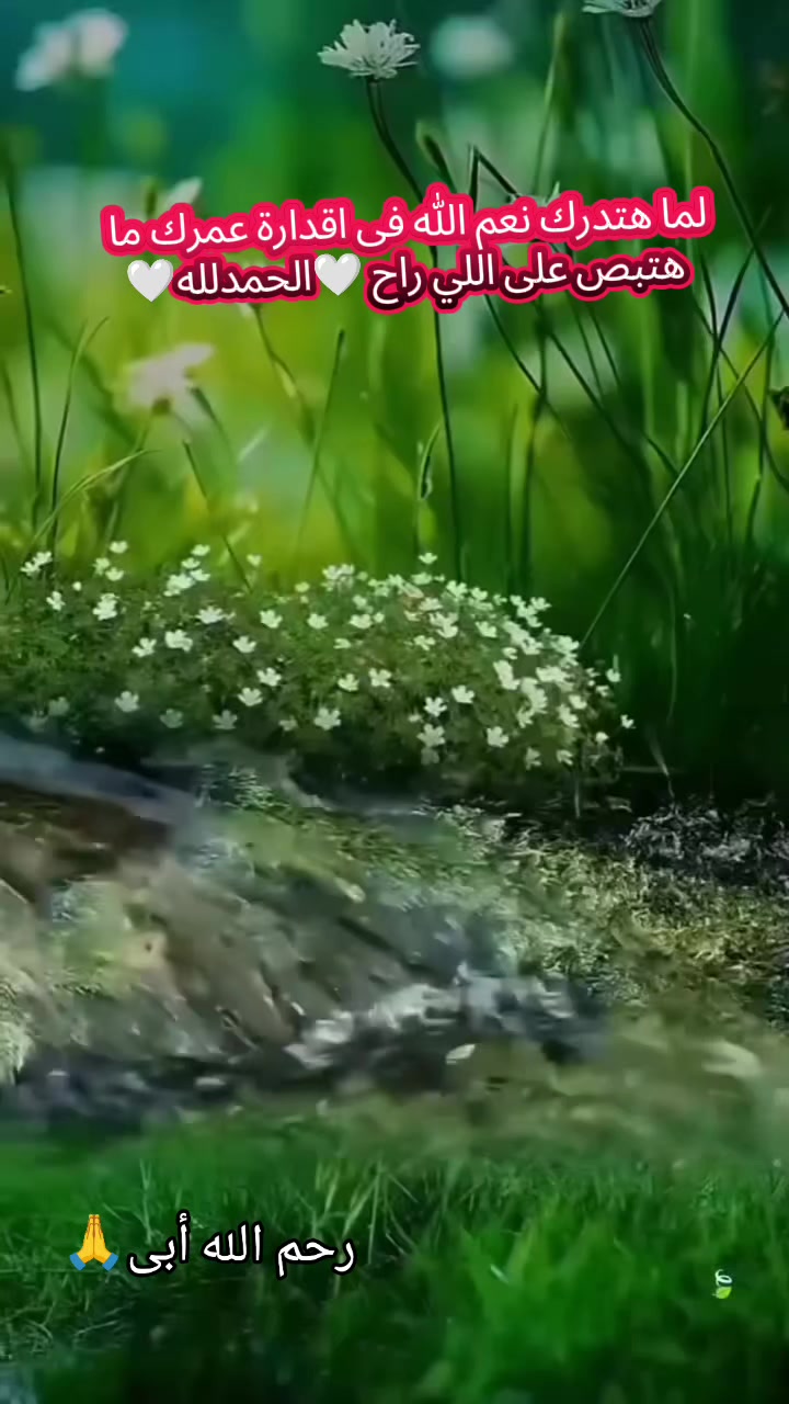 @โ๏ธ๐๊งุญูููุงุฉ๊ง๐โ๏ธ๐ป