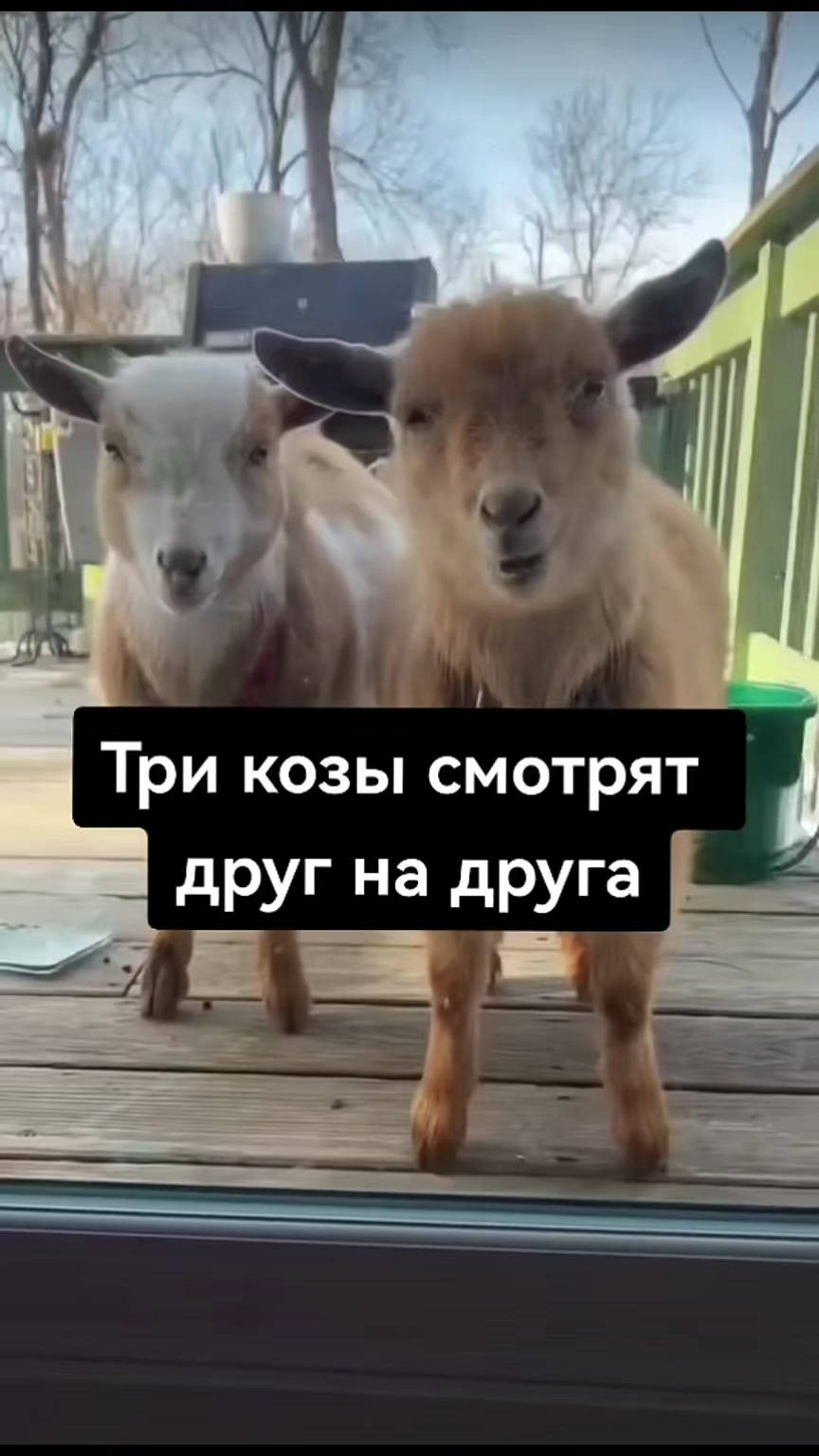 @Я не Чикатила