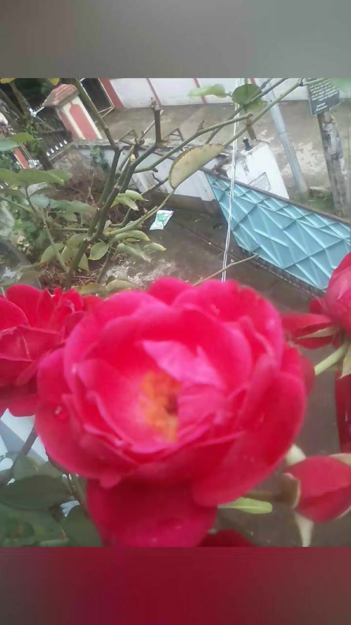 @Kamrul Ahsan
