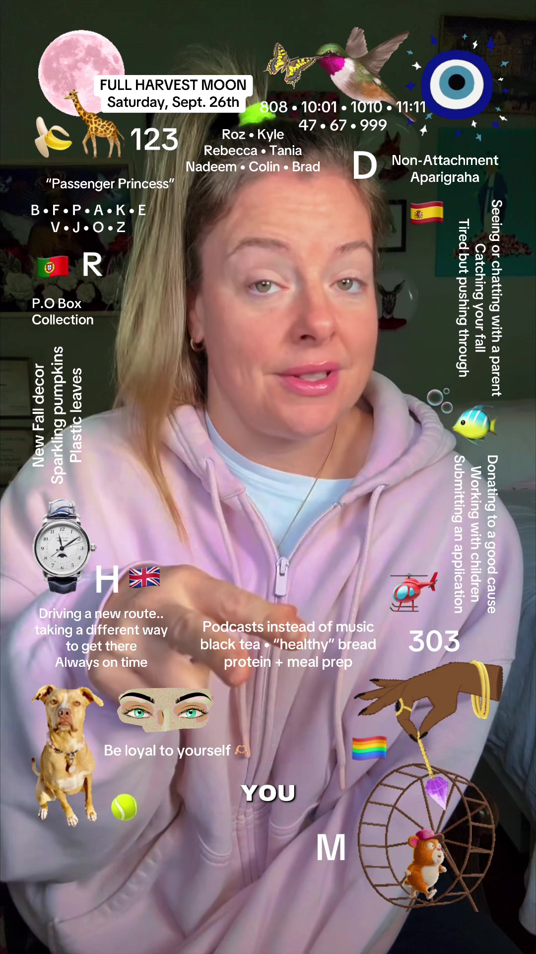 @theconnectionhub333