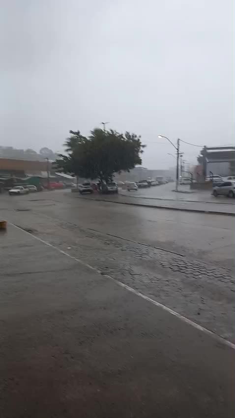 @Bel Alves