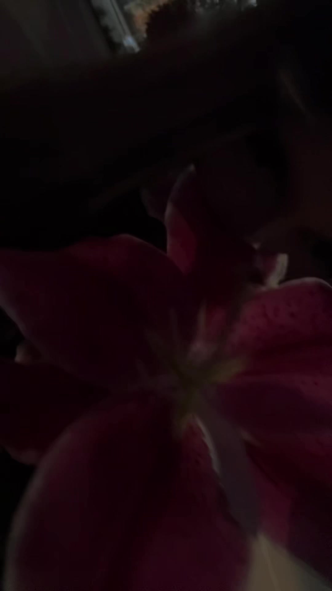 @ddsssana