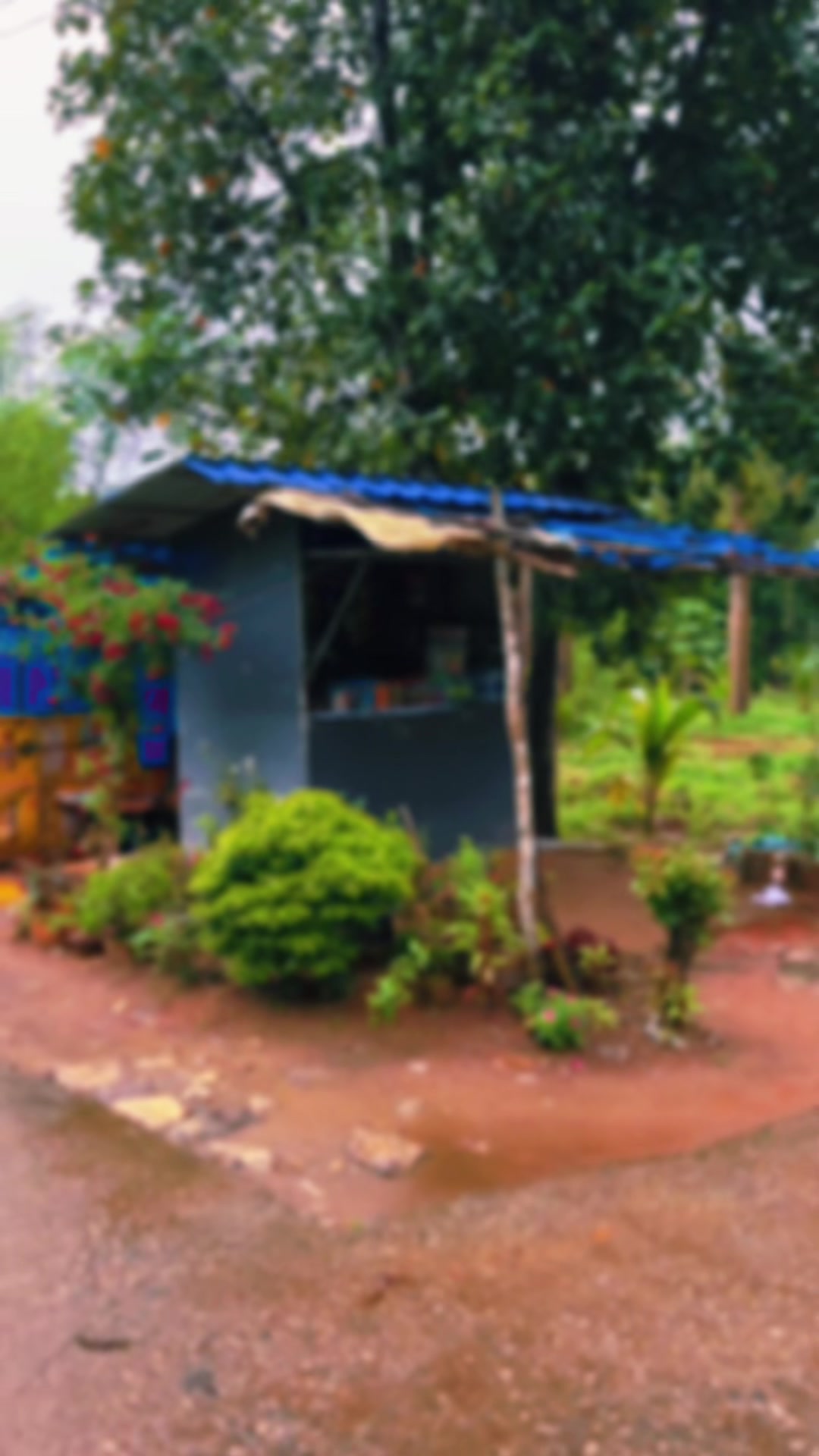 @❤️ഓർമകൾ❤️