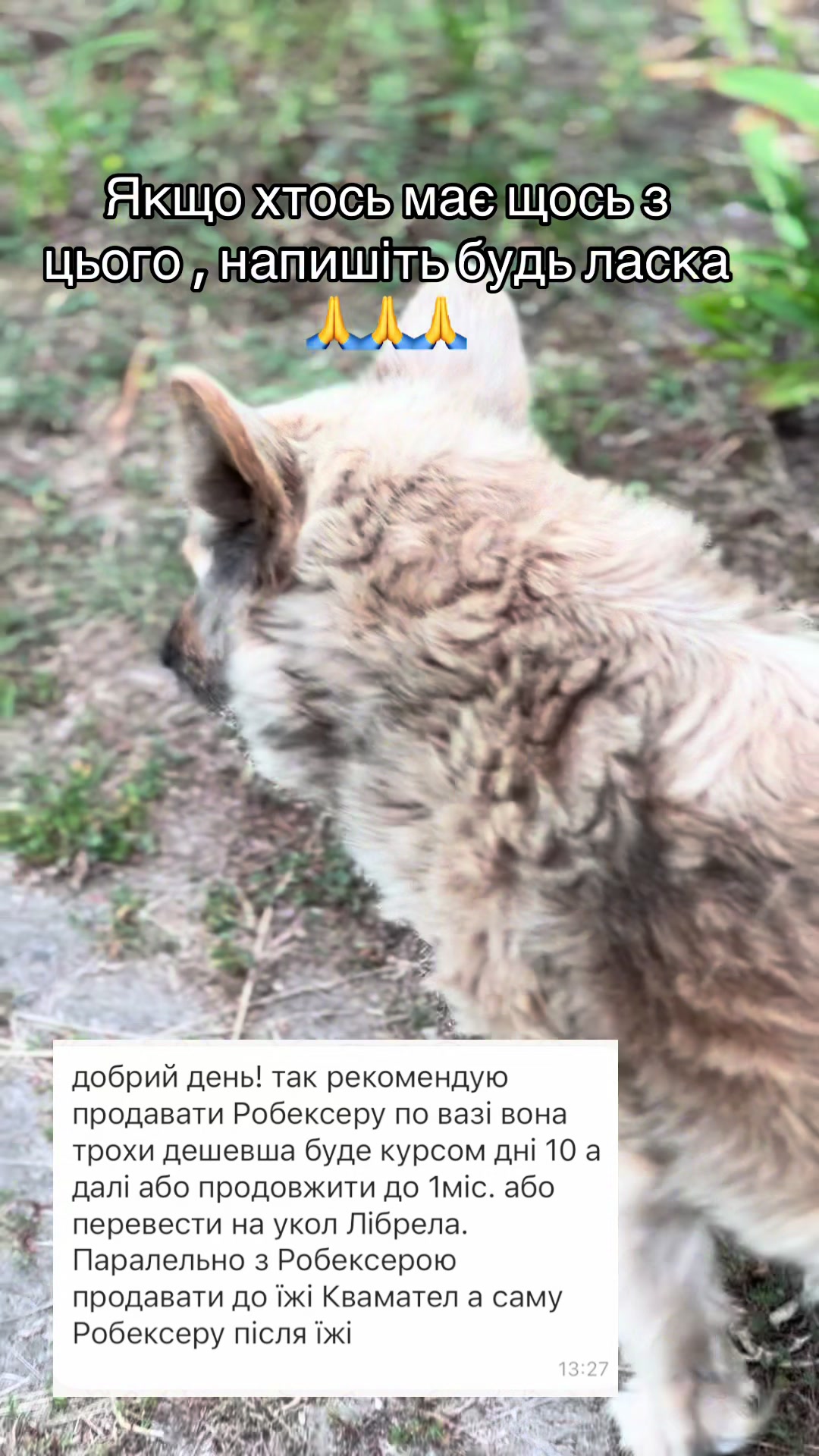 @tanya.help.animal