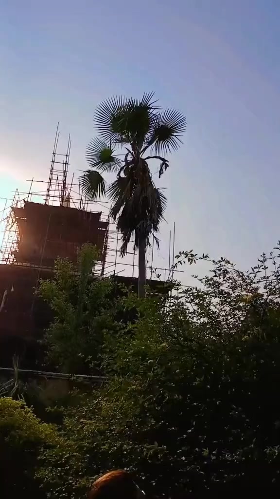 @Barsha Khadka