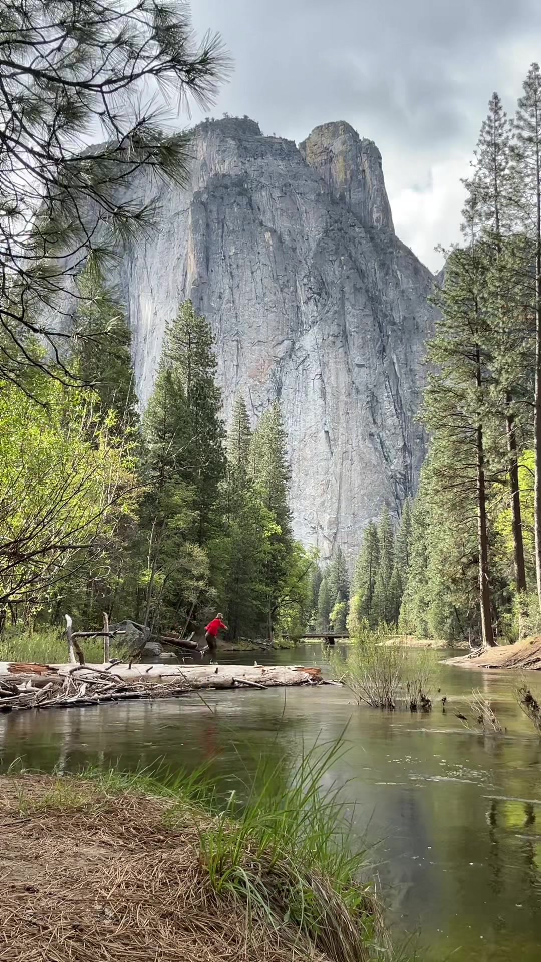 @Psharkk 🏔️