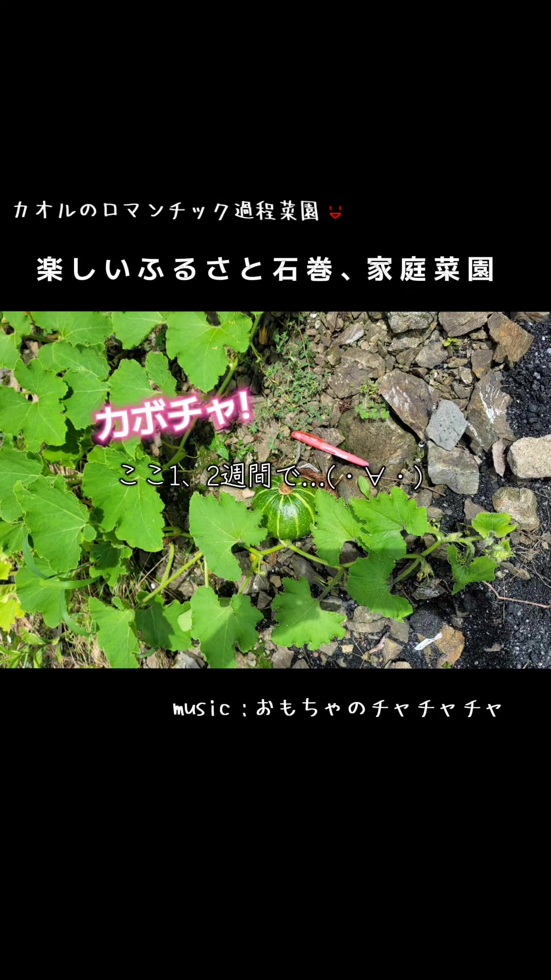 @cjカオル