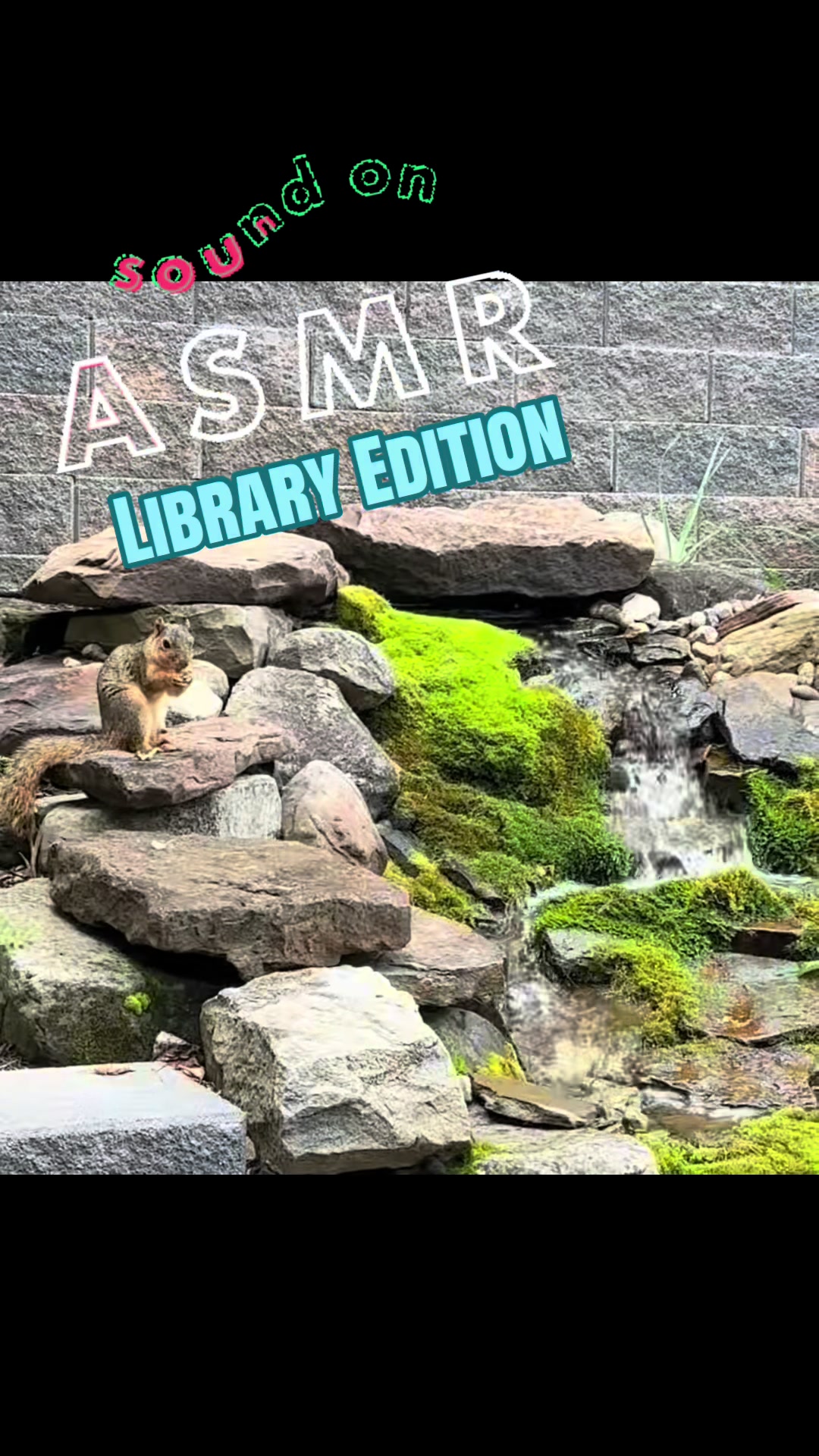 @Hubbard Public Library