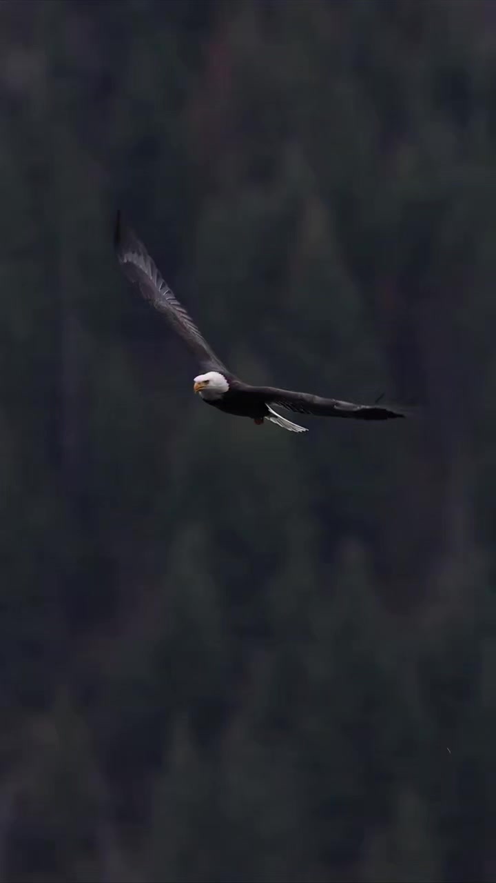 @🦅🦅🌞ANGEWL MOTIVADA🌞🦅🦅