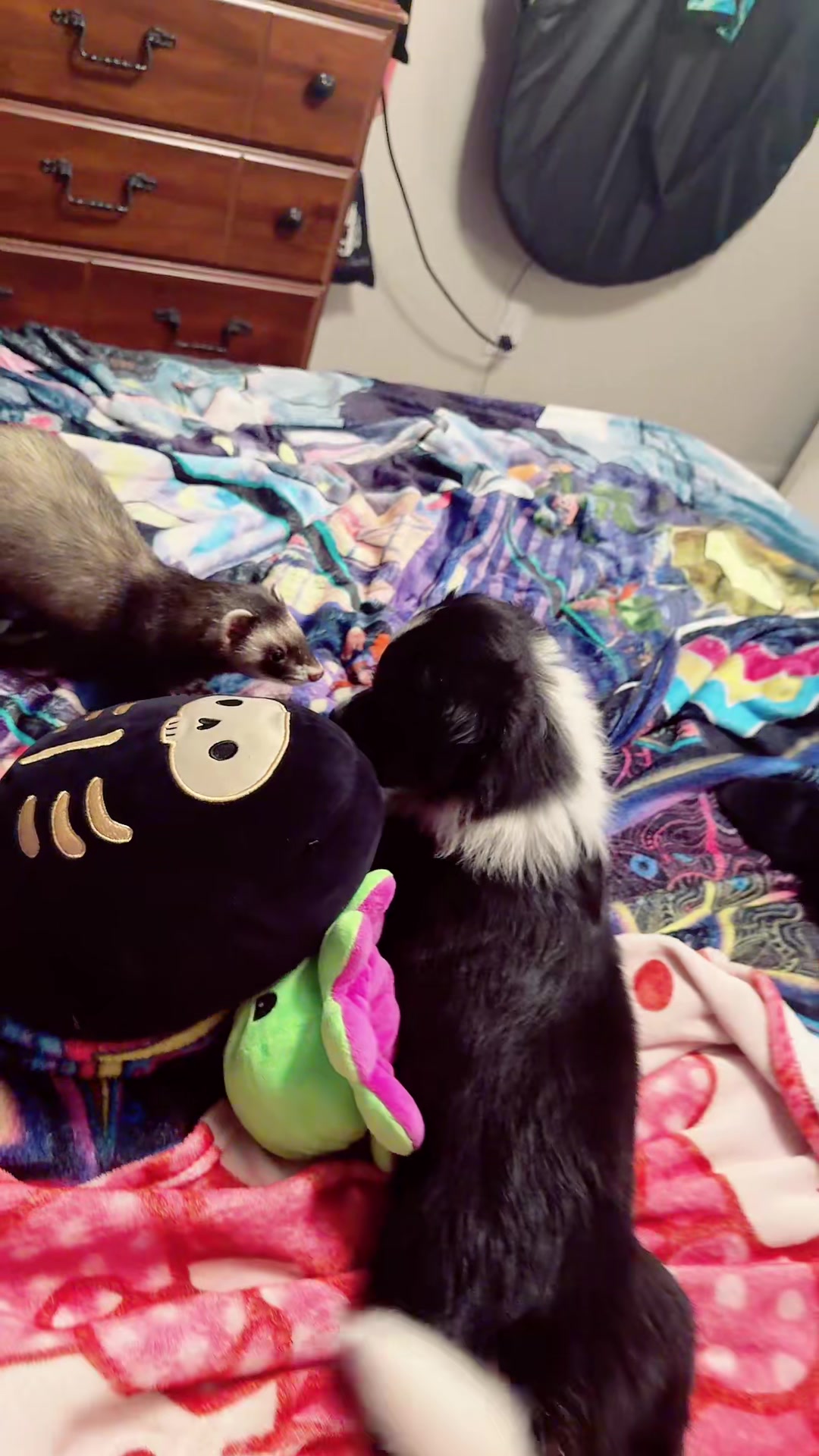 @Flow Ferret