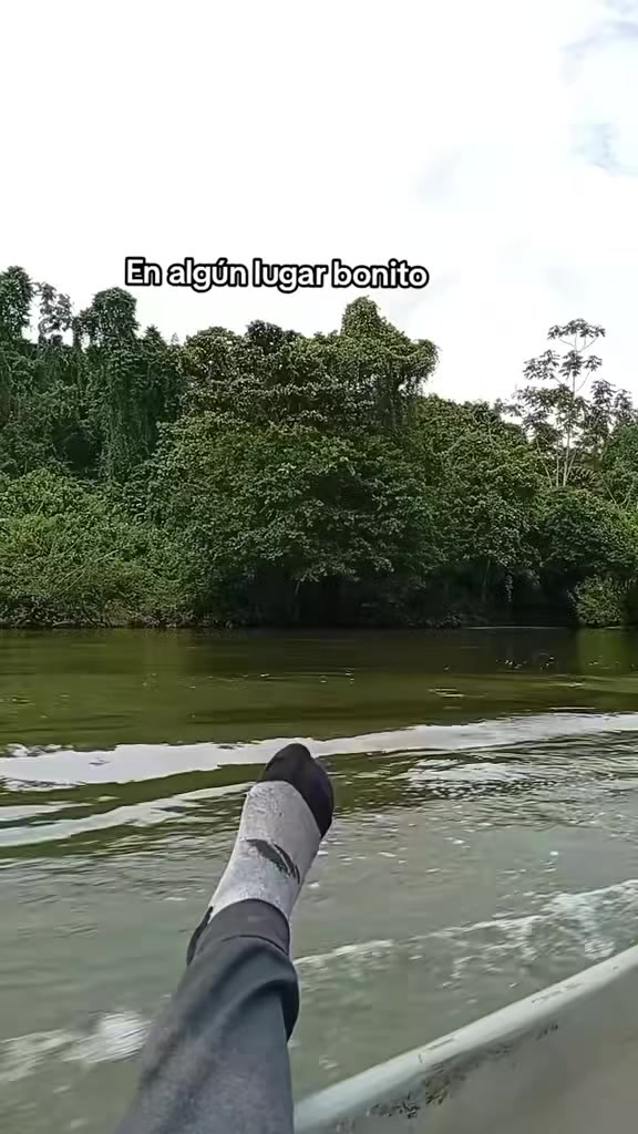 @🔋BELLAKO 🇪🇨
