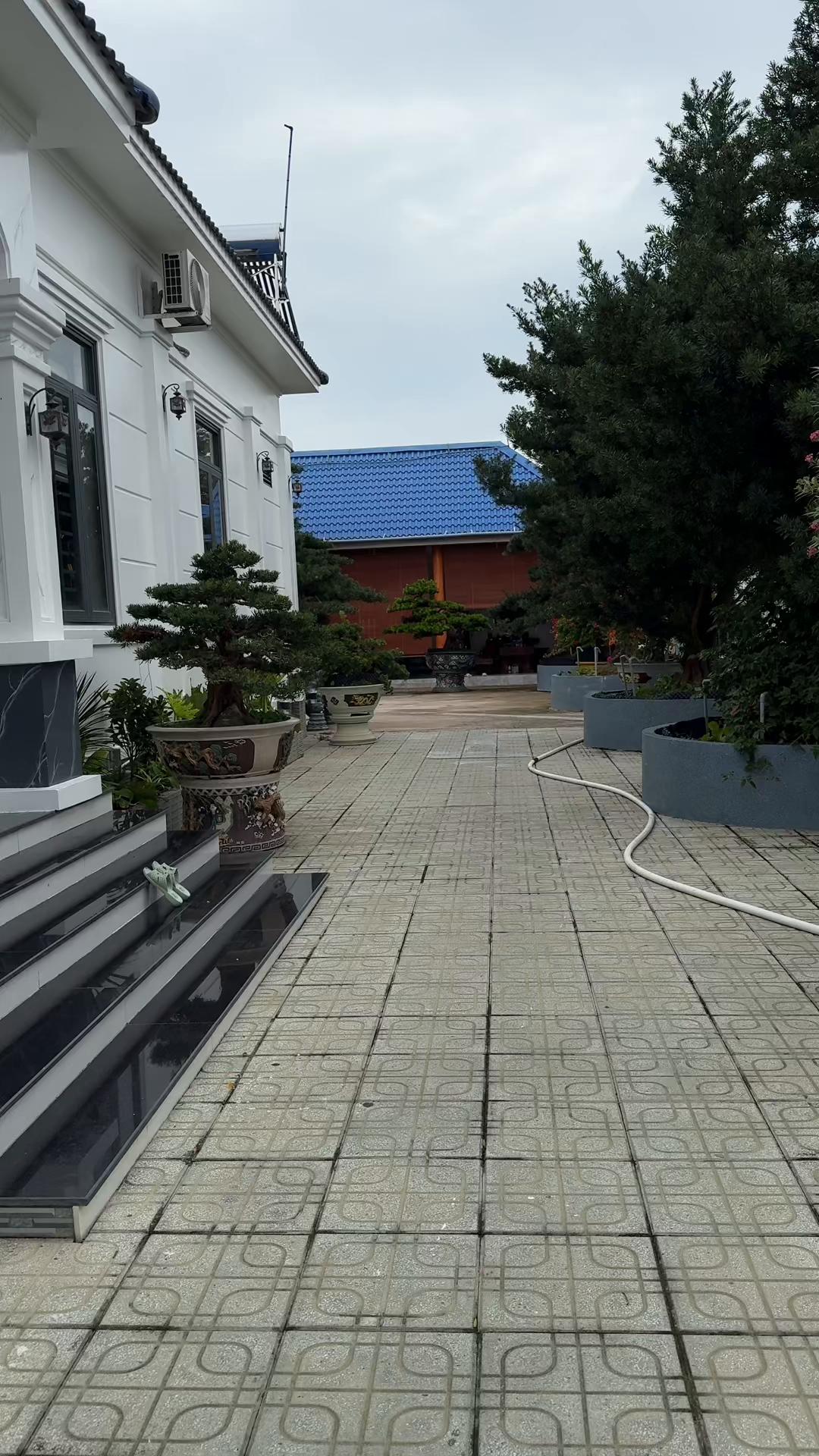 @XuanHuynh