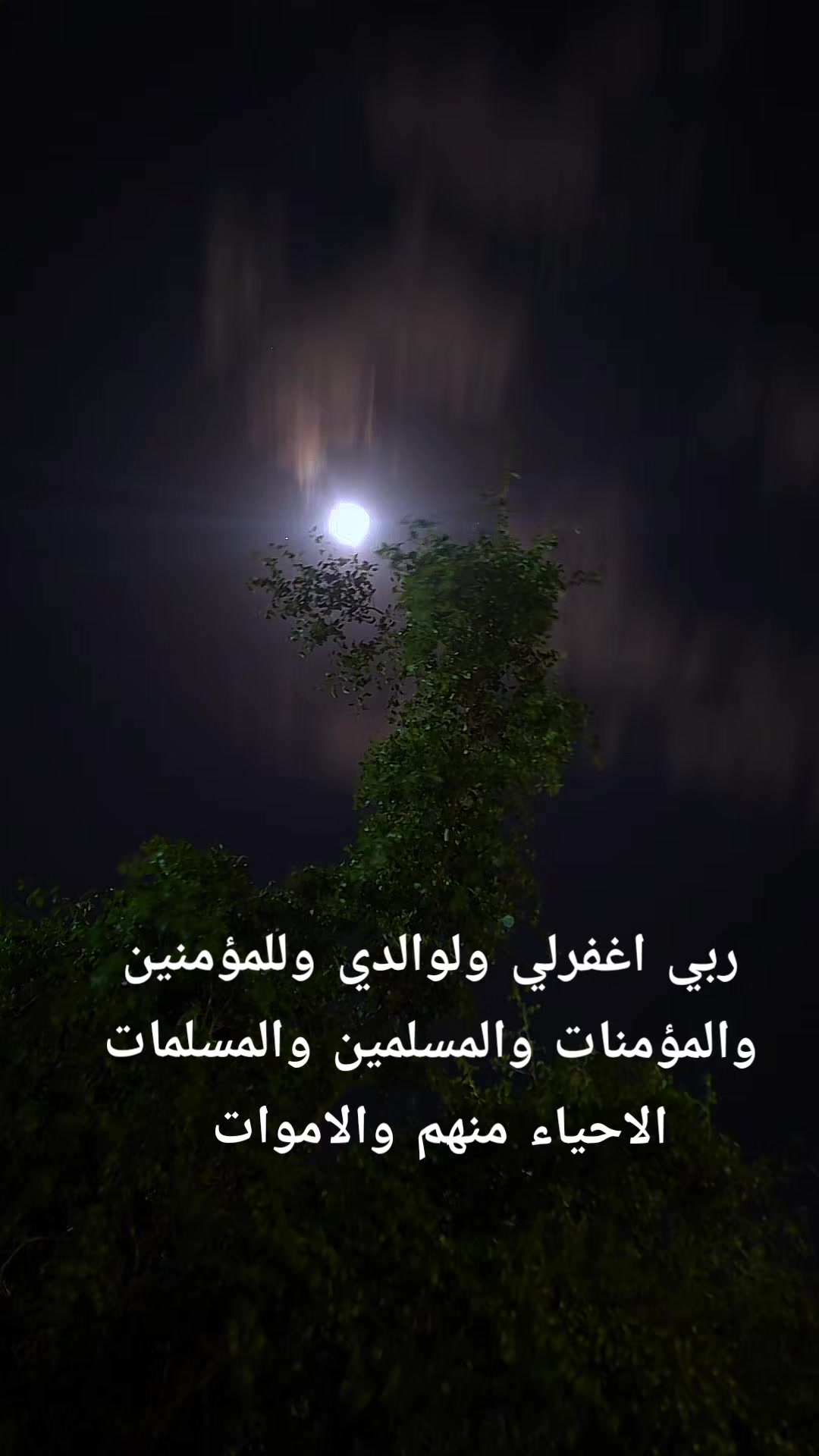 @✨