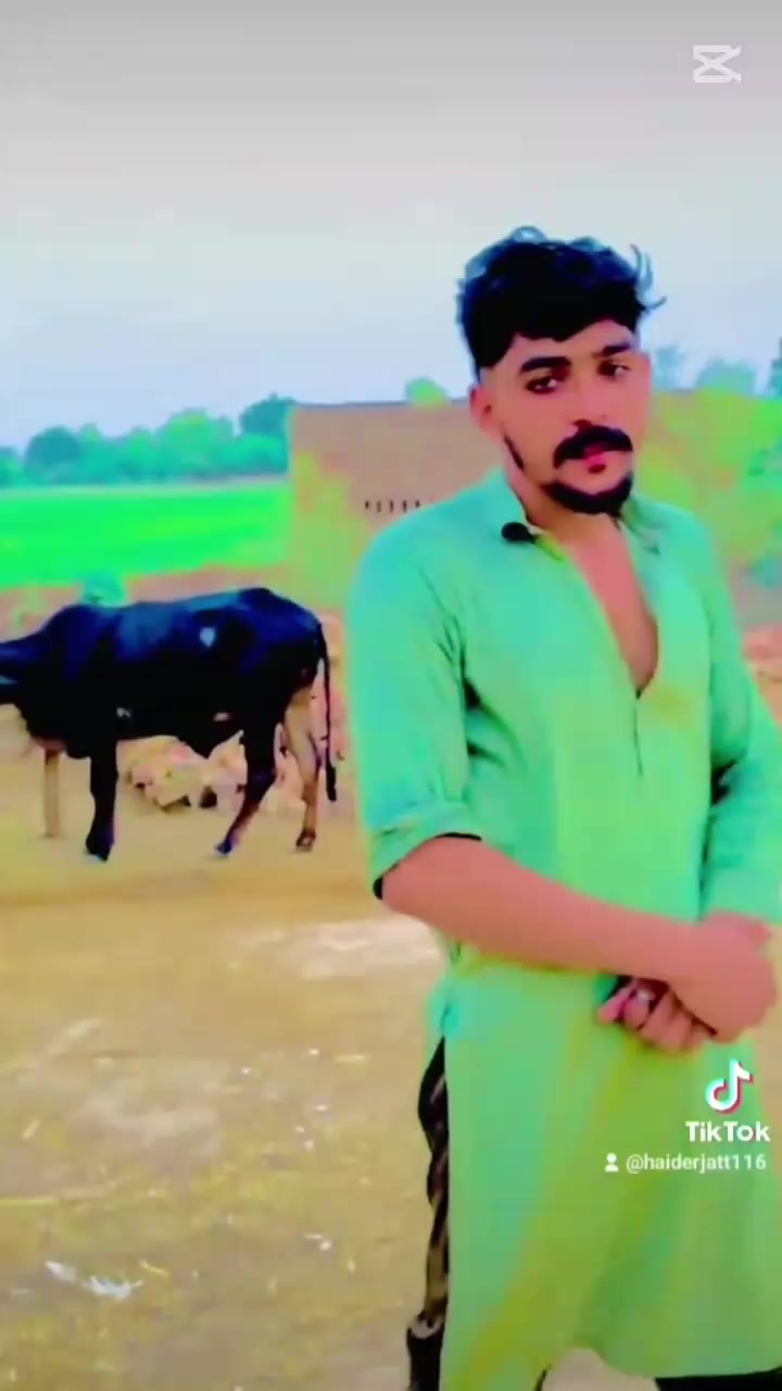 @haider cheena😎