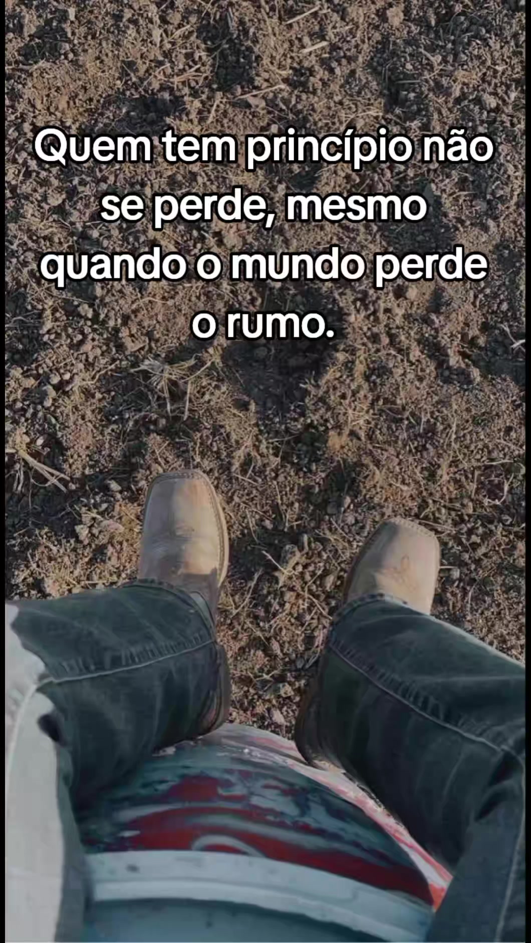 @Raiz da Roça Oficial