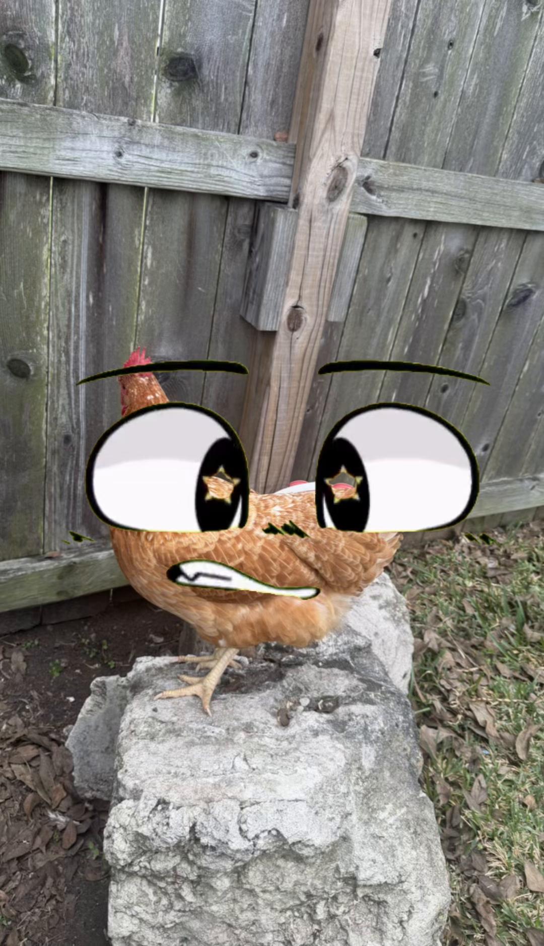 @Add chickens flyng ef5 tornado