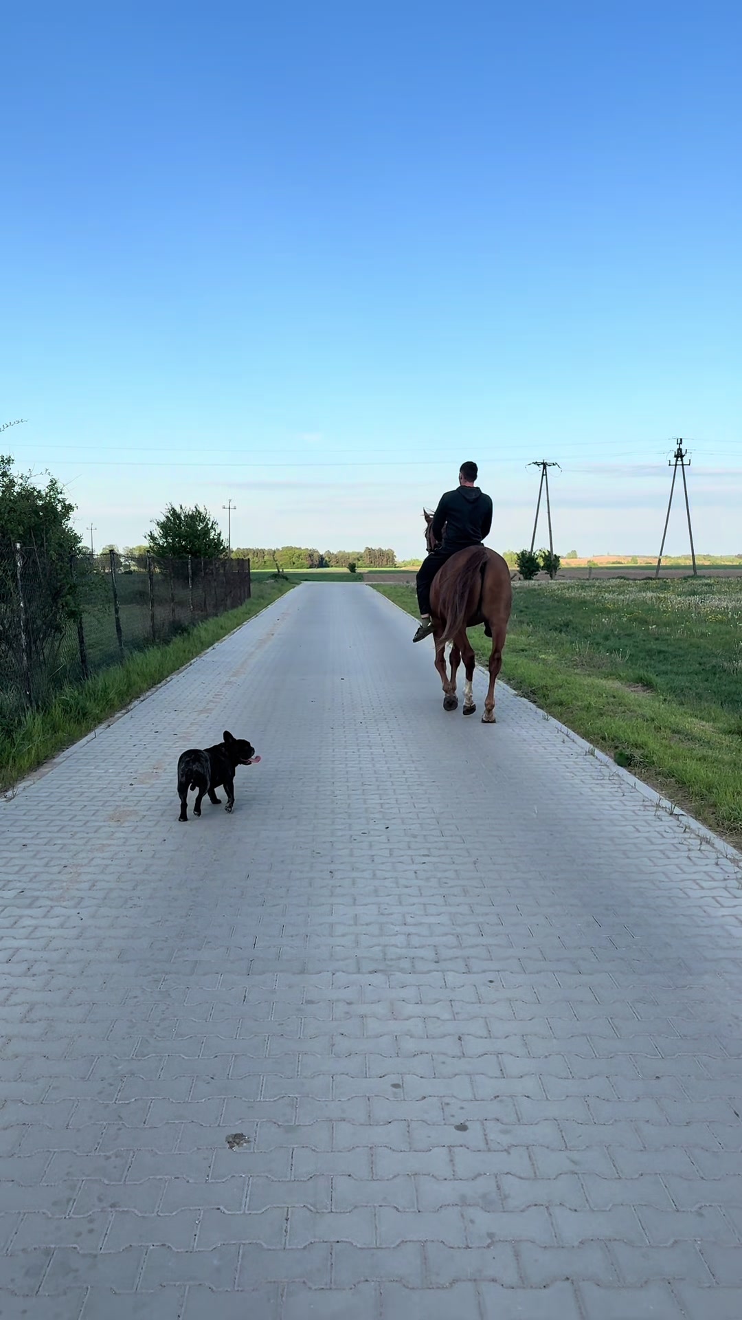 @Ewelina 🐴🐮🐶
