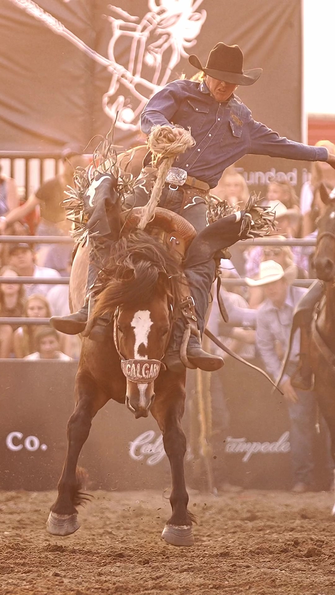 @Hanginghorses