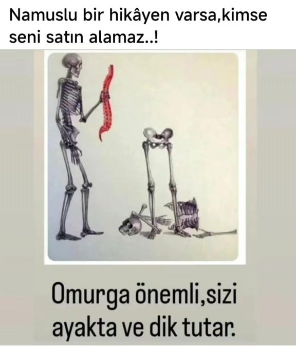@Paşagönlüm