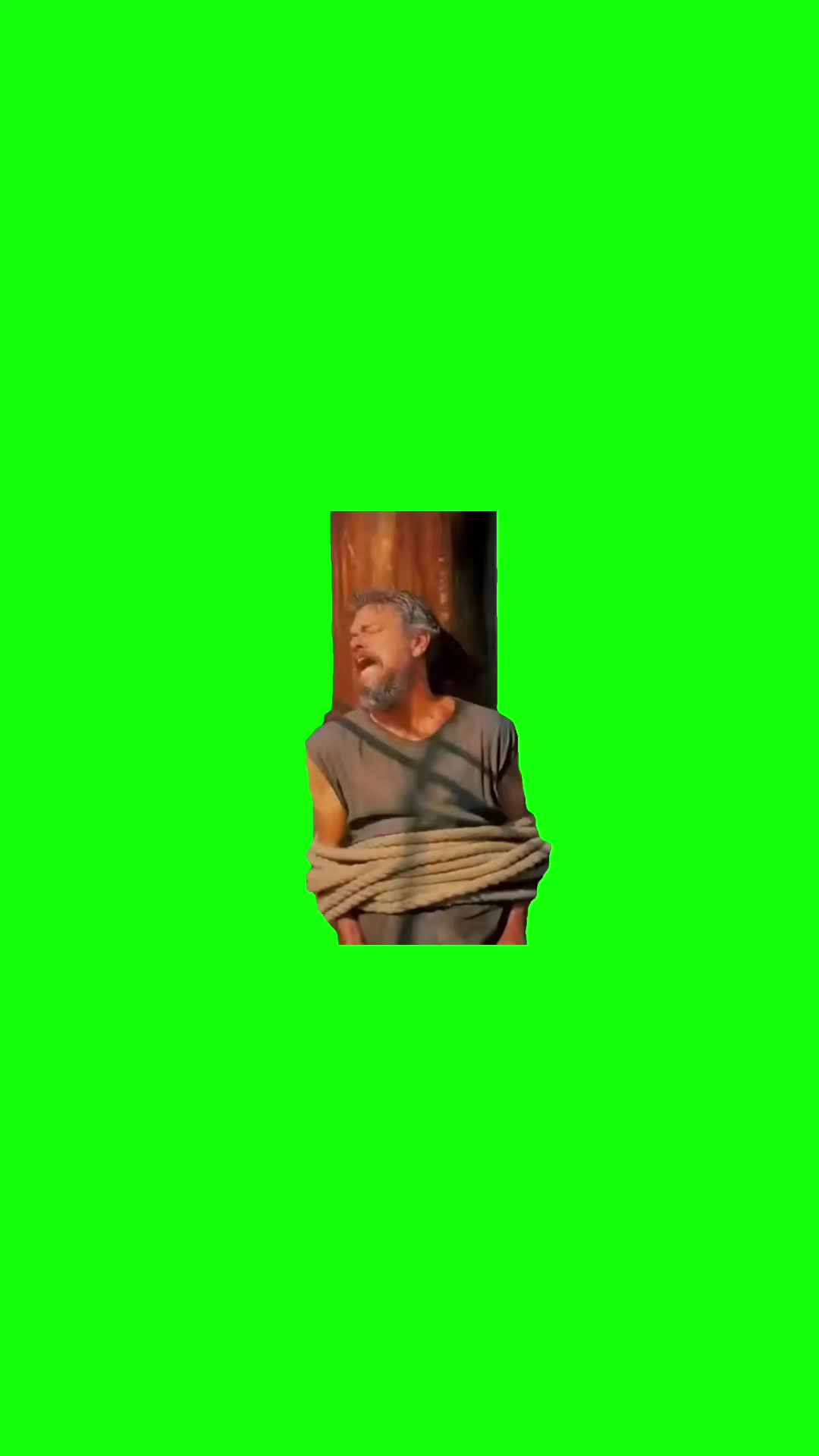 @Chief Green Screens