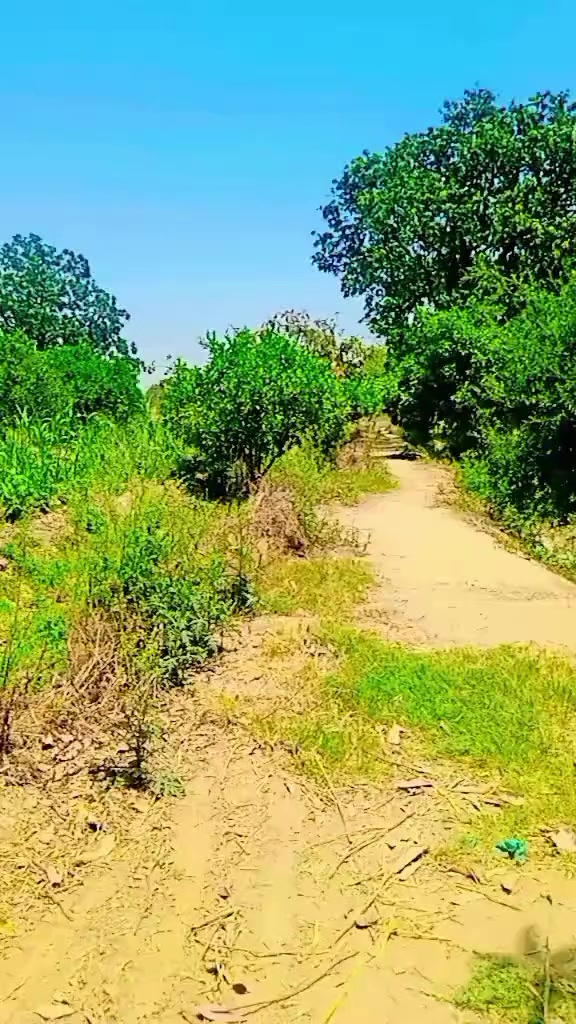 @ziddi Rajput