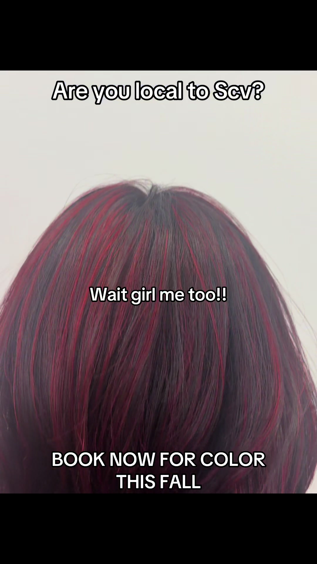 @Safirehairstyles