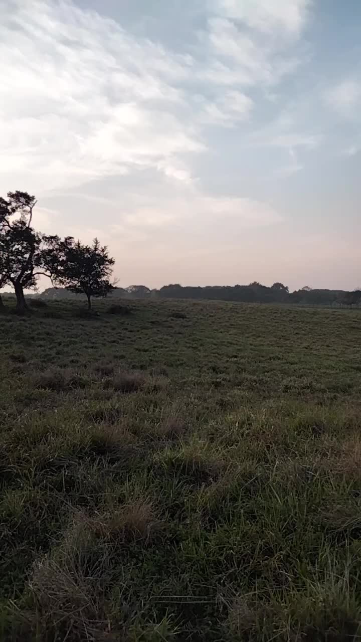 @Rub&eacute;n