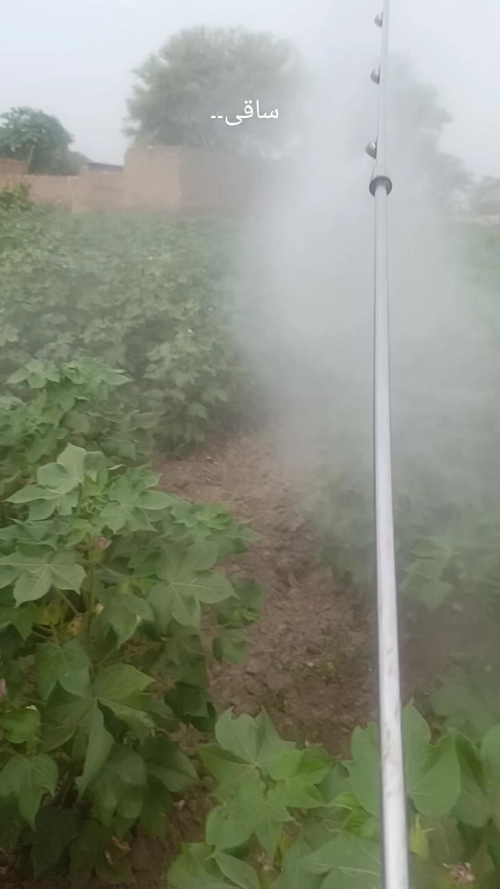 @Mr.Tori.Farming (pathologist)