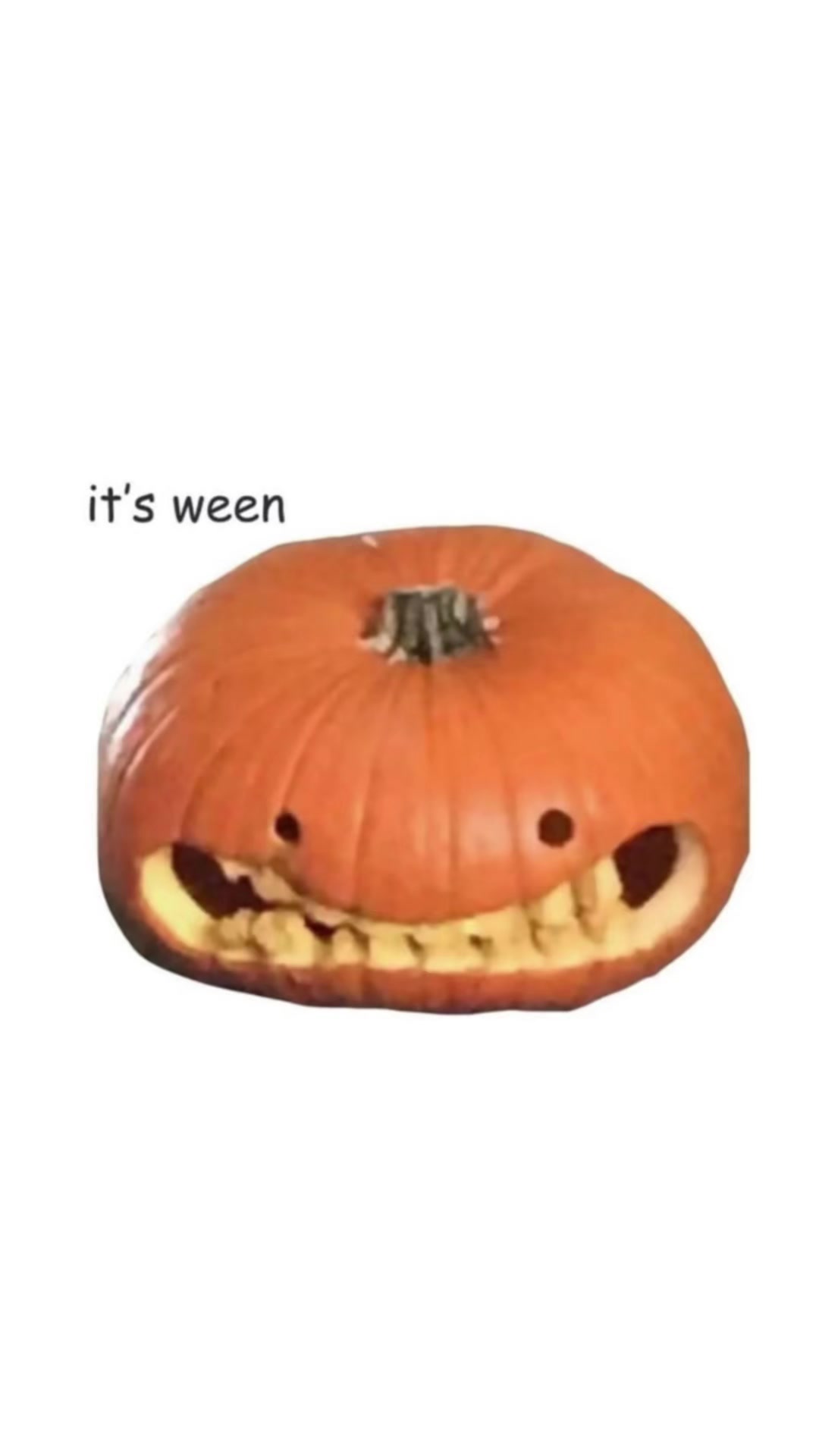 @𝙶𝚛𝚞𝚗𝚐𝚎𝙼𝚘𝚗𝚔𝚎𝚢