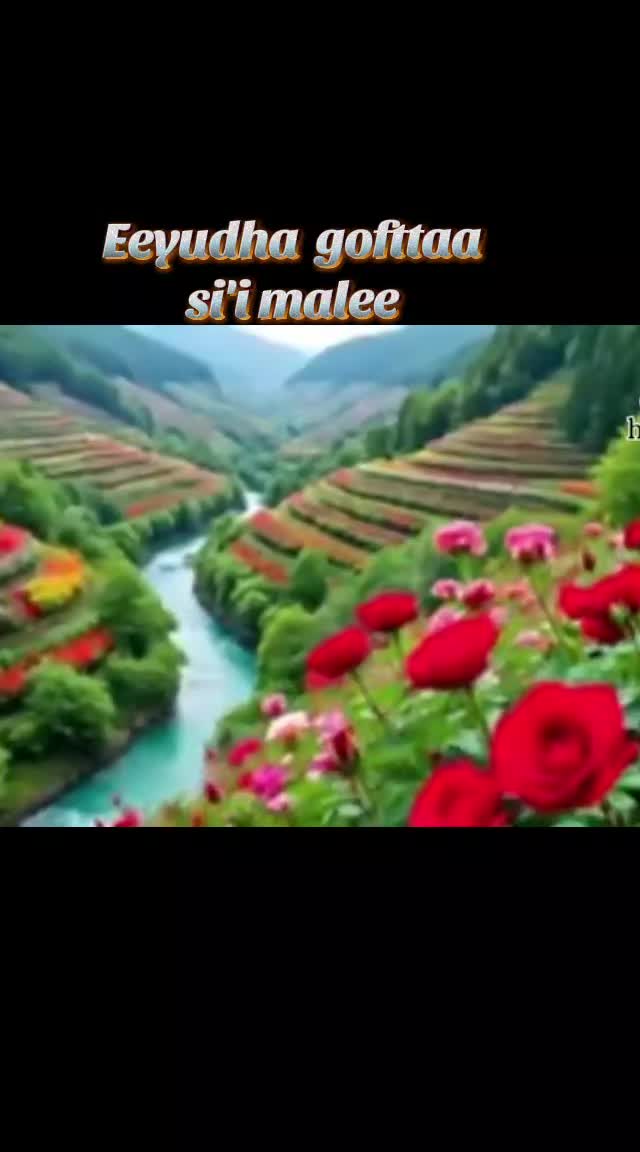 @Faantuu walisoo🇪🇹🇪🇹🇦🇪