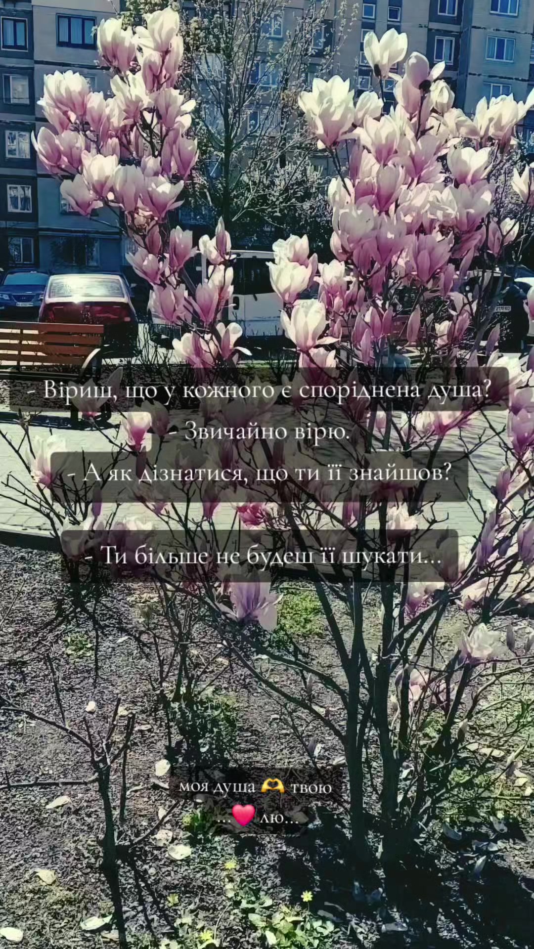 @o__oleksandr