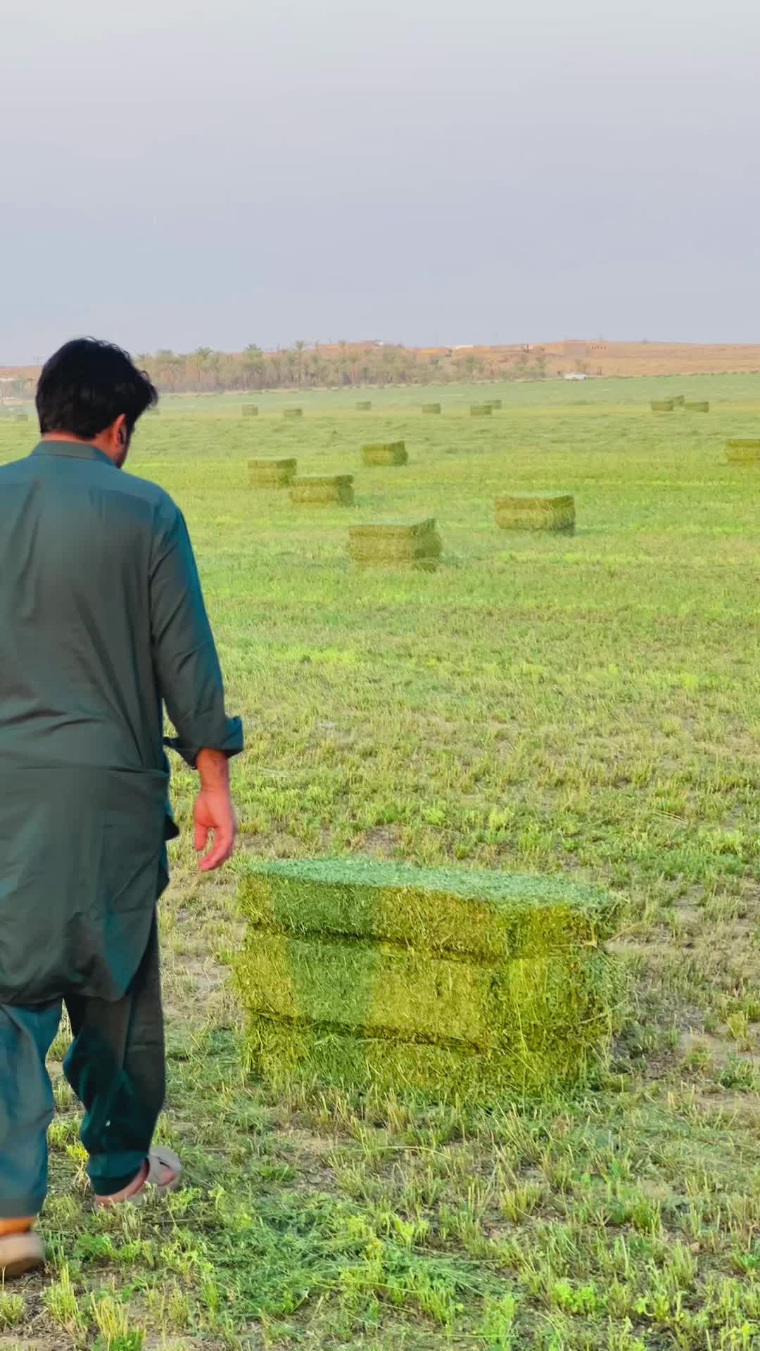 @Mohsin Khan Marwat (MKM)