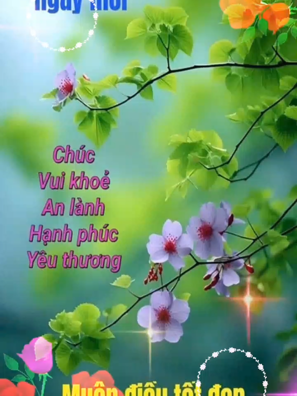 @Huỳnh Văn Được