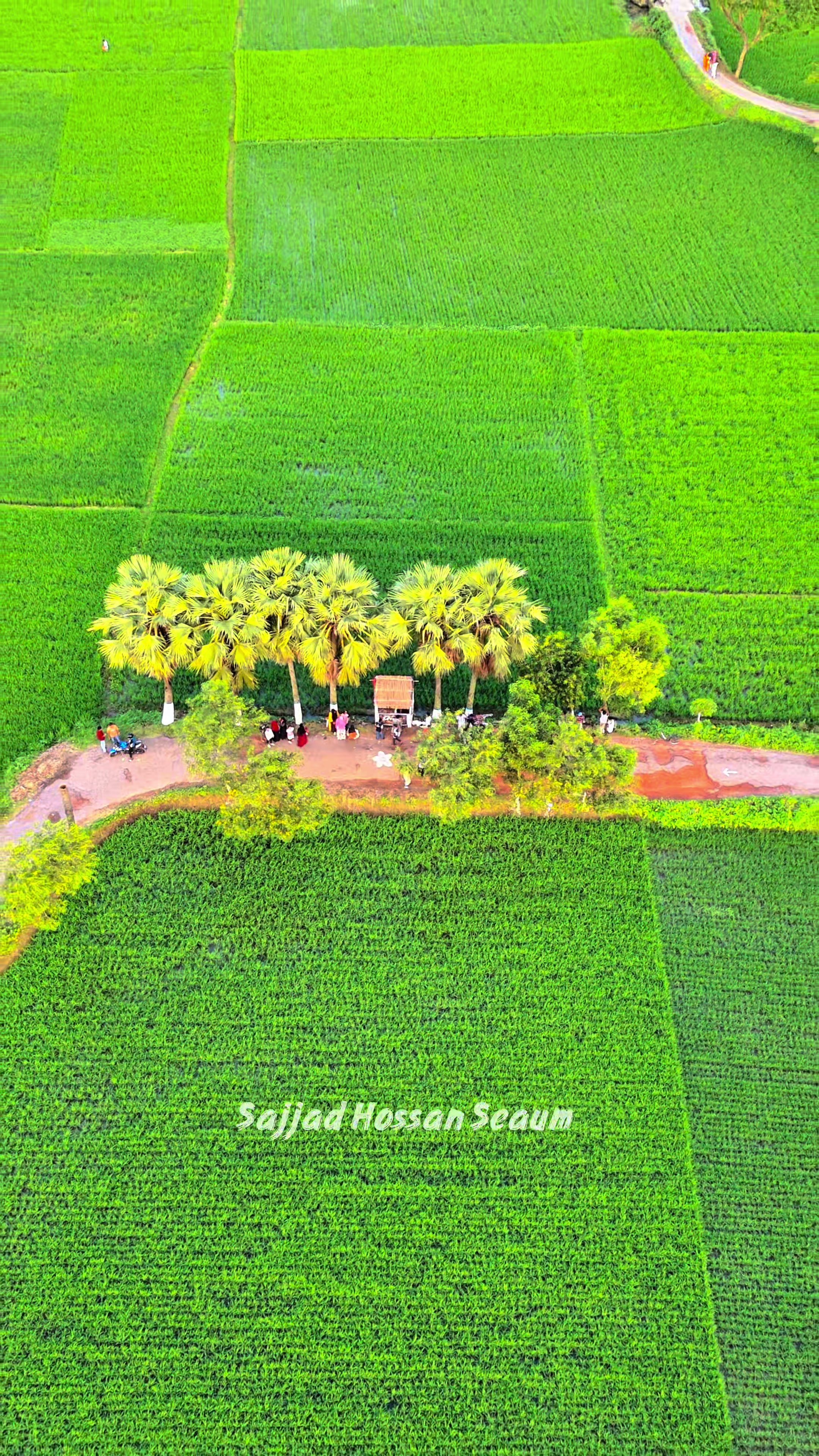 @Sajjad Hossain Seaum