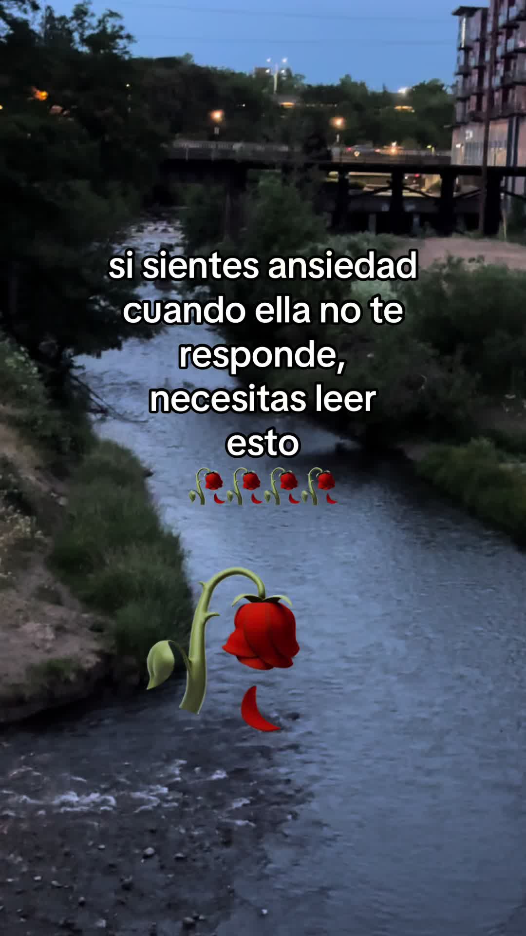 @pablocarbajal63