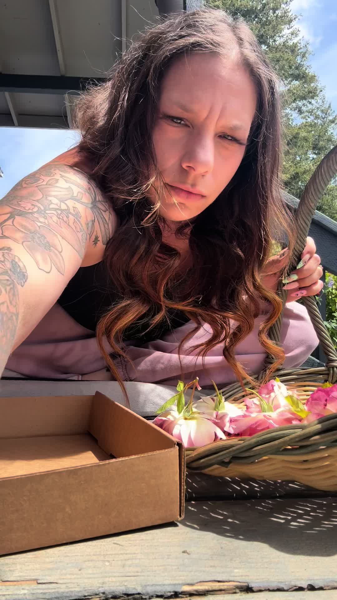 @_velvetpetal_