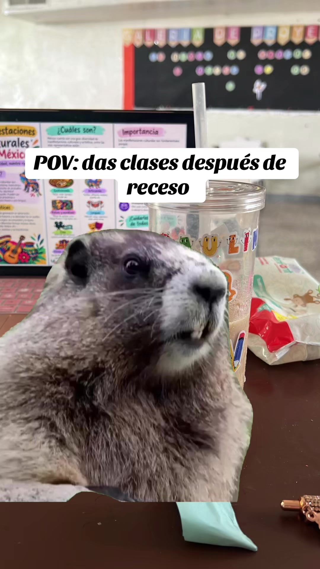 @Maestra Paulina 👩🏫❤️🩹