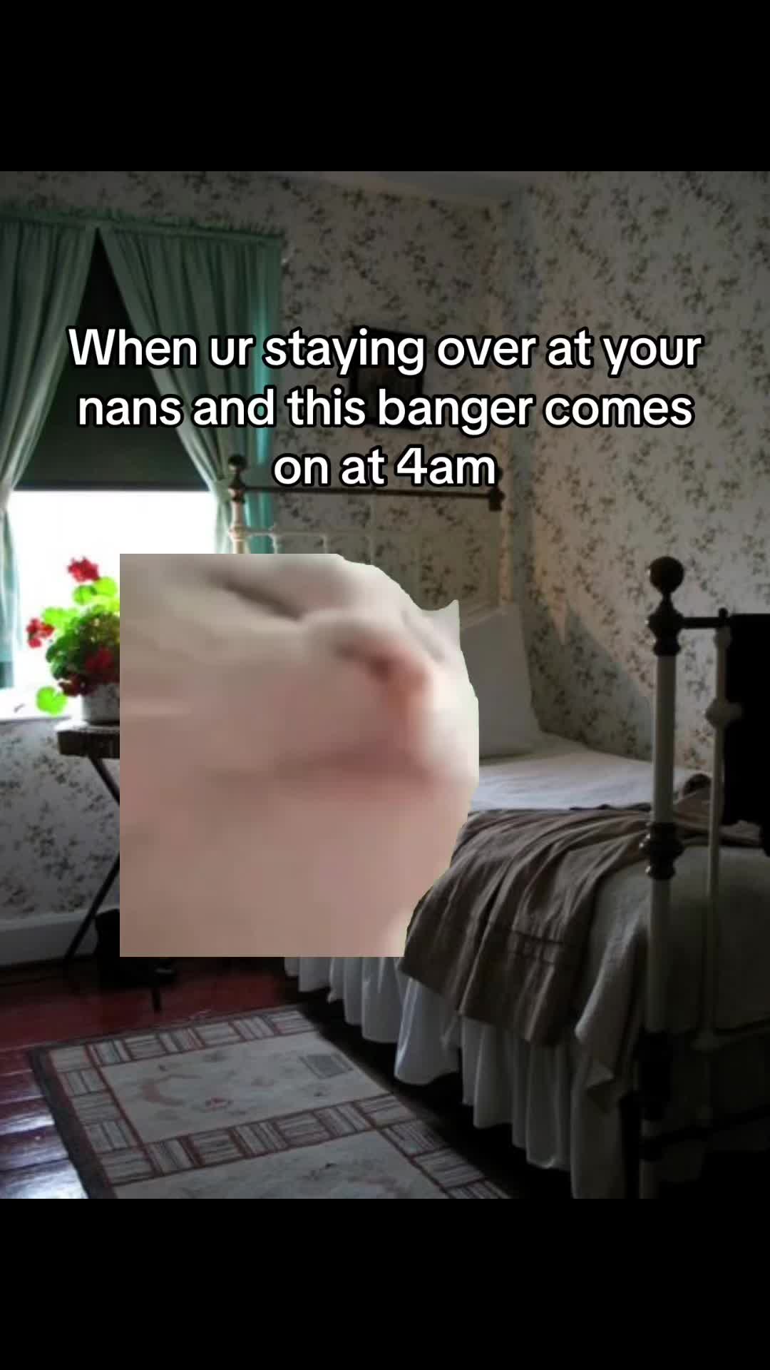@Kyle