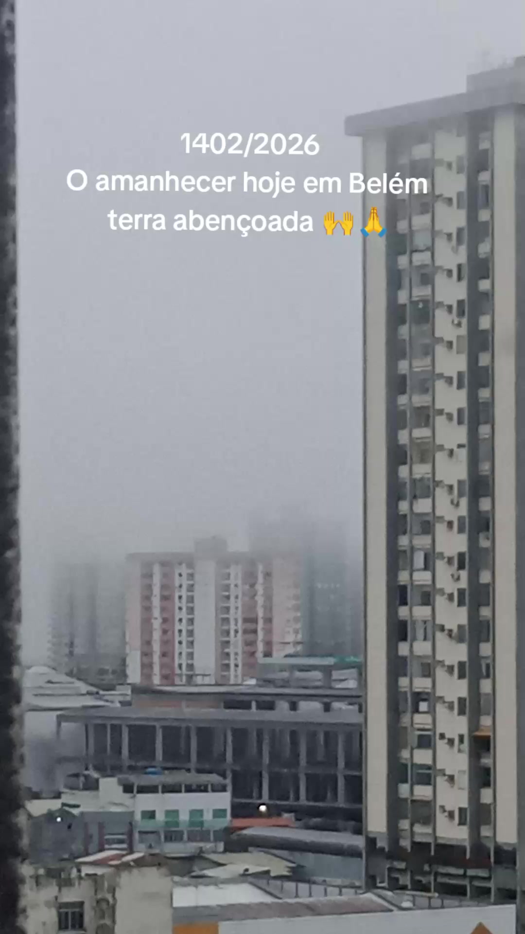 @erikacosta8127