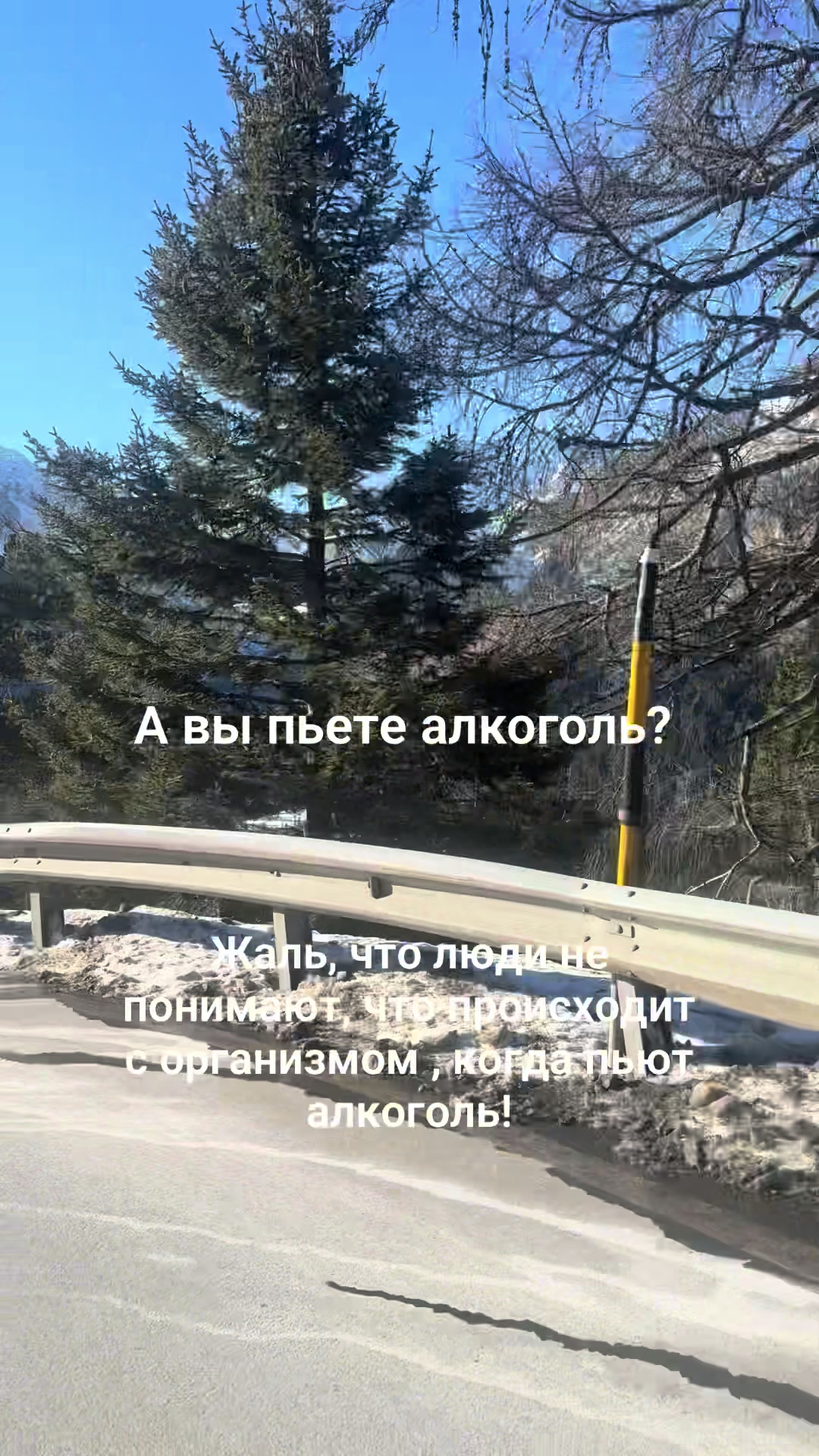@Галиулина Елена