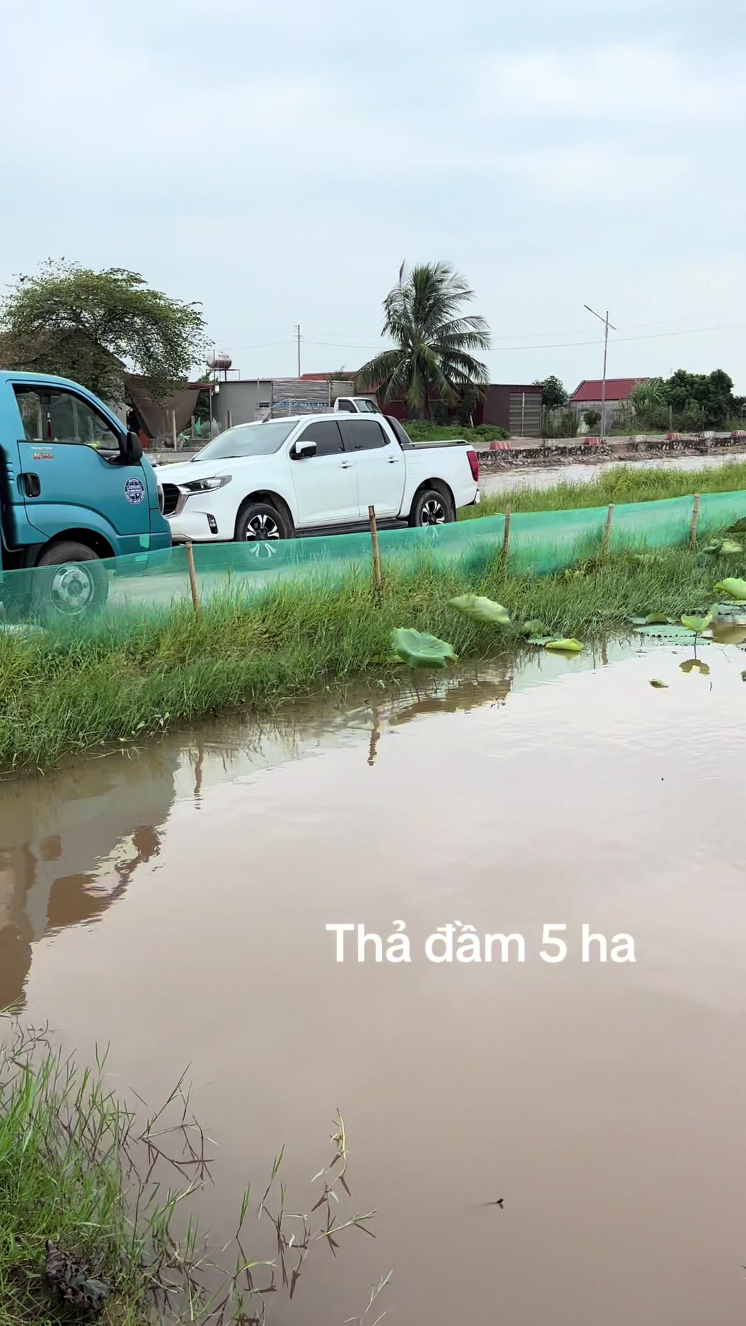@Trại Cá Giống Quang Lâm
