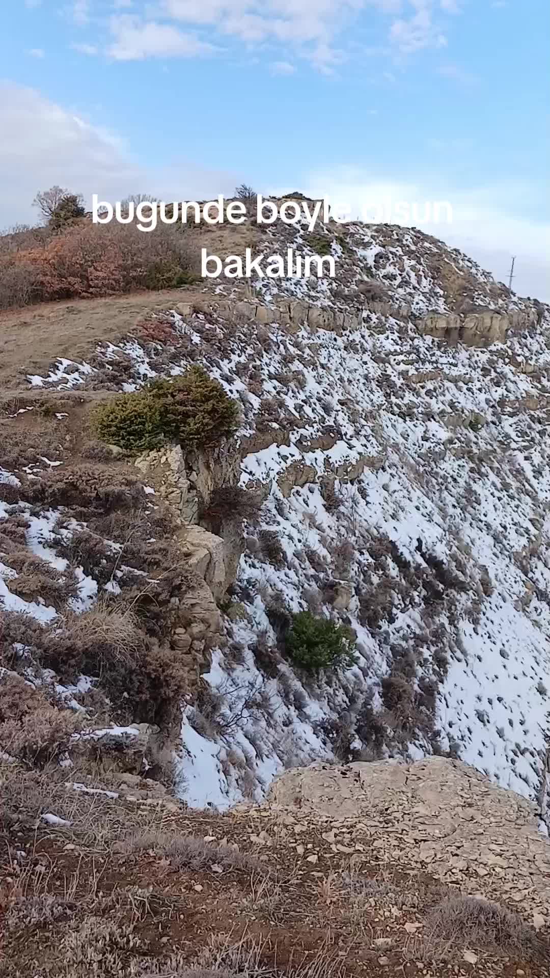 @avci