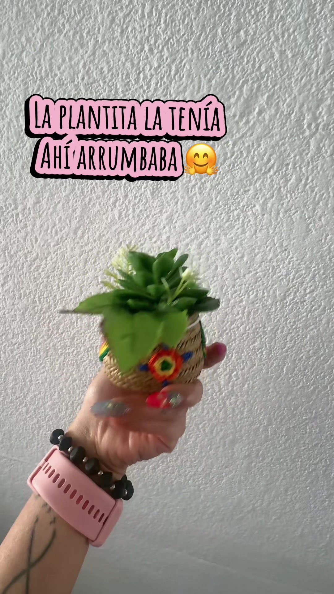 @Tlapalli Pintacaritas