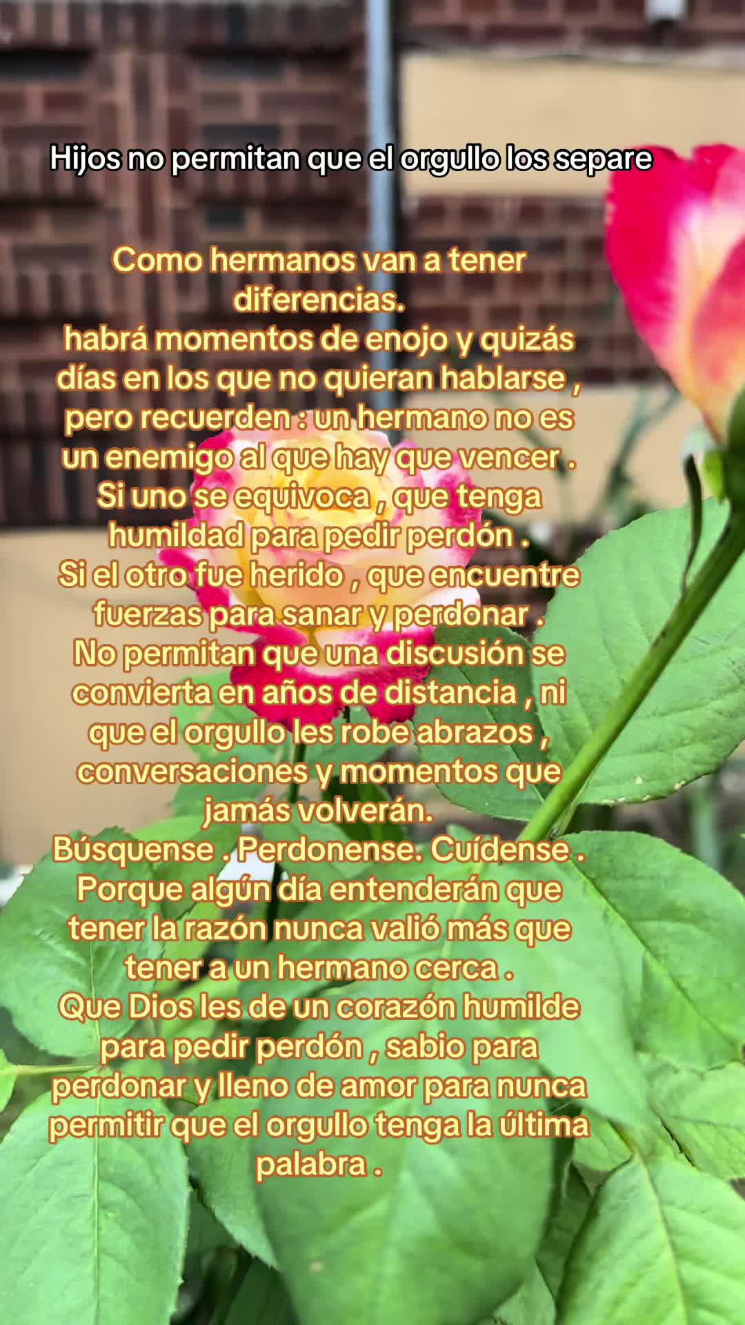 @user5416152358449