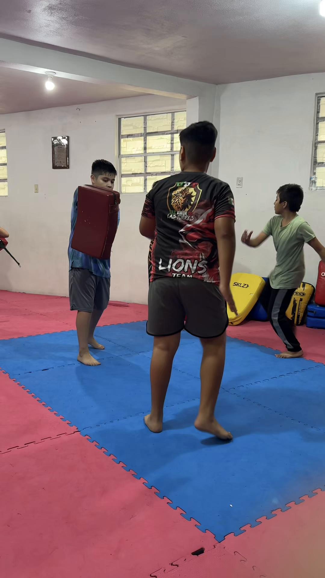 @taekwondolionsteam
