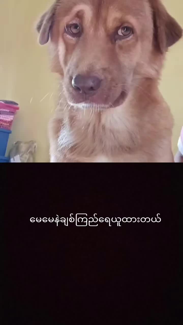 @myohlaingwin
