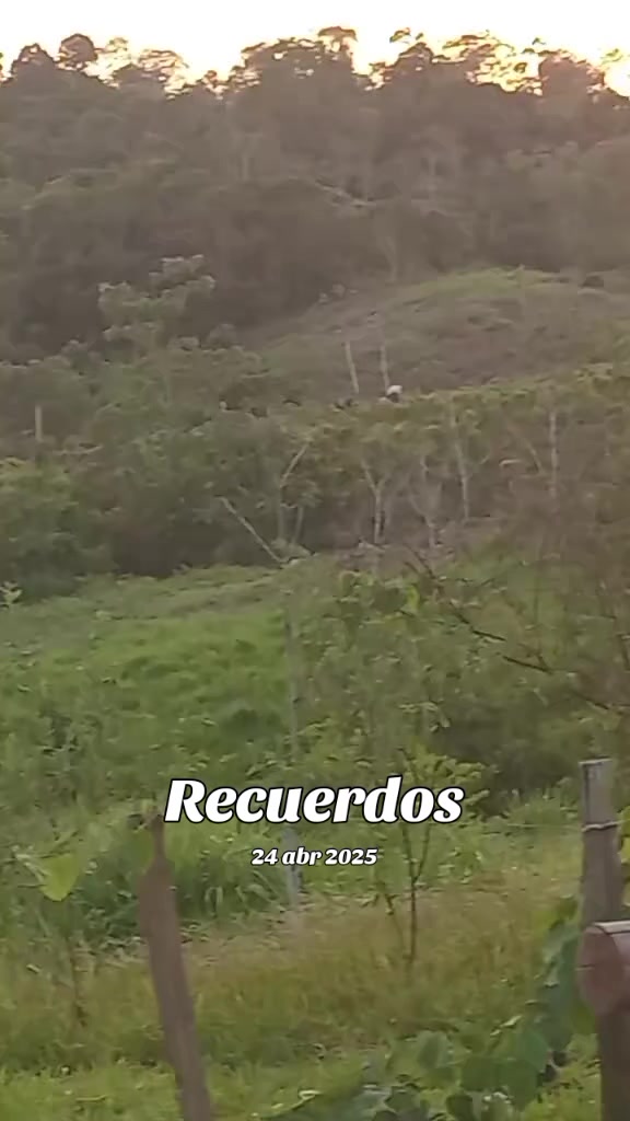 @Cesar Fernandez