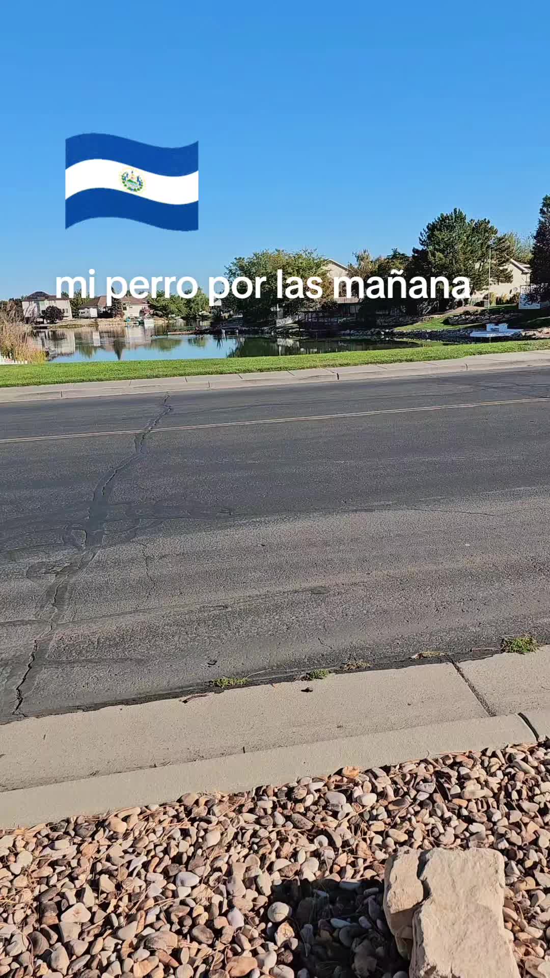 @Miguel A sorto
